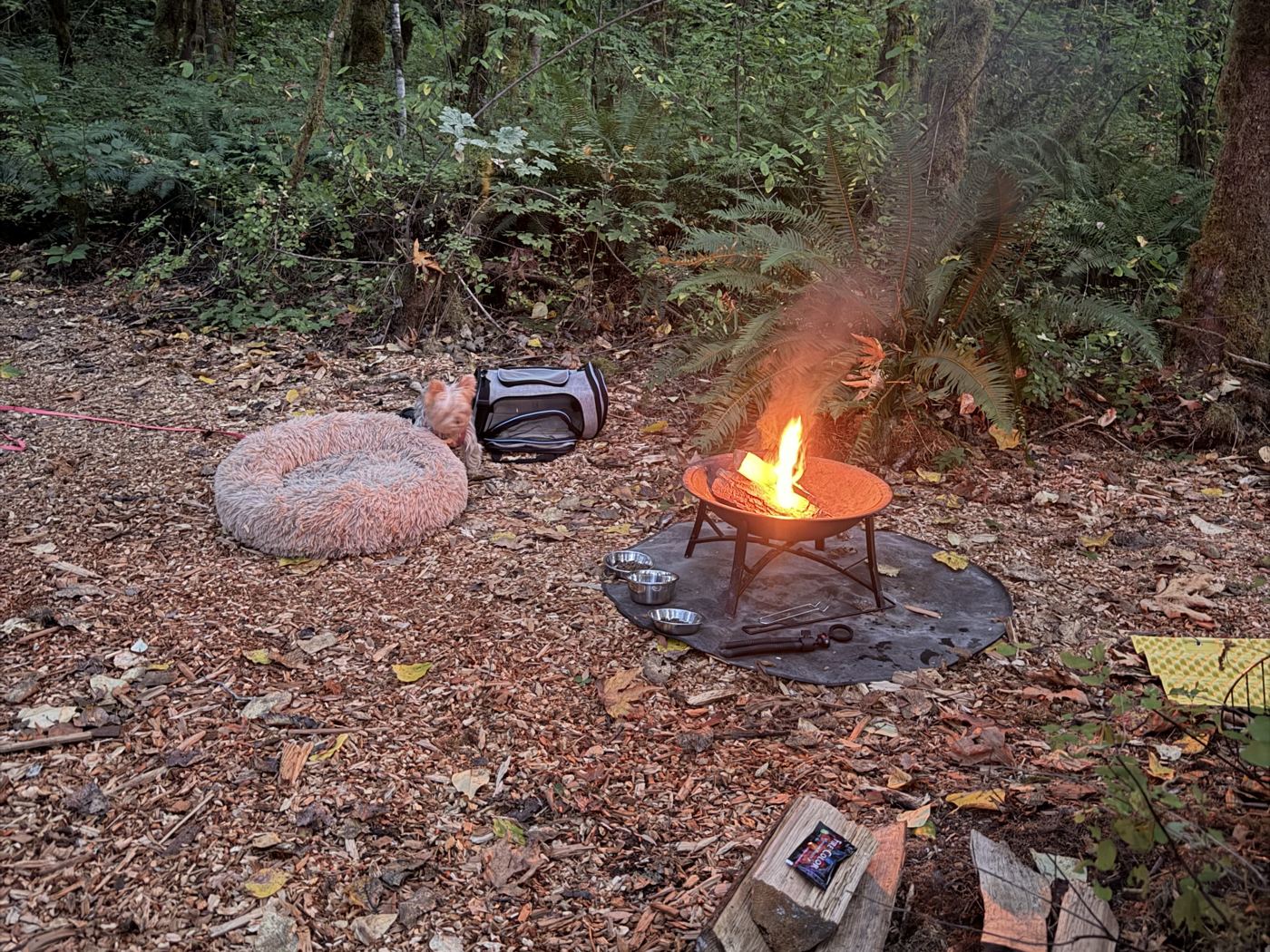 Campfire at site